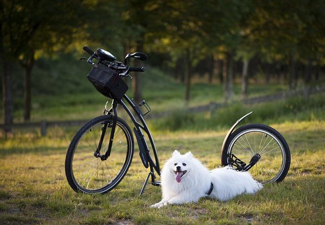 Common Injuries and How to Prevent Them