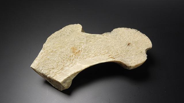 Tibia Exercise Machine: Unlock Insane Ankle and Knee Strength 2 Key Features of a Quality Tibia Exercise Machine