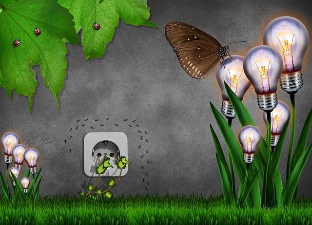 Budget-Friendly Ways to Enhance Your Manual Treadmill Workouts