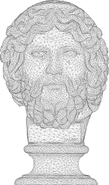 Myth Busting: Common Misconceptions About Back Extensions