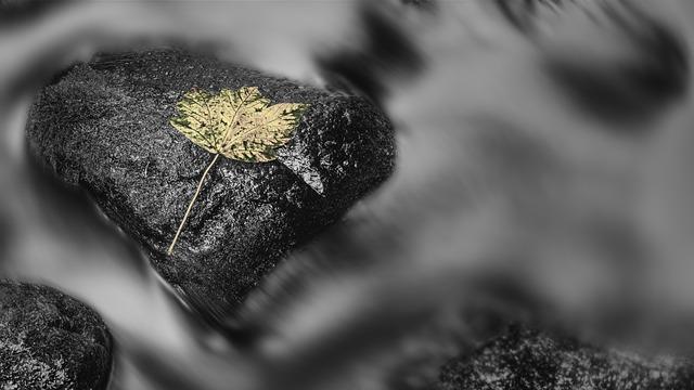 Effective Exercises for Oblique Obliteration