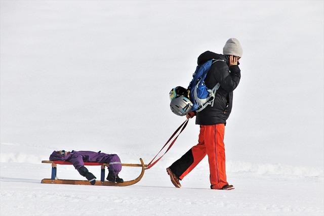 Key⁤ Features‌ to Look for in a Workout⁢ Sled