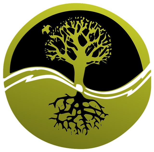 Your Tibialis Anterior Could Be the Root Cause of Your Knee Pain