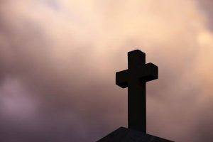 Does the Tibialis Anterior Cross Two Bones? The Surprising Answer 3 Does the Tibialis Anterior Cross Two Bones? The Surprising Answer