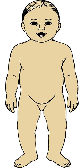 Common Misconceptions⁤ about Working the ‍Tibialis Anterior