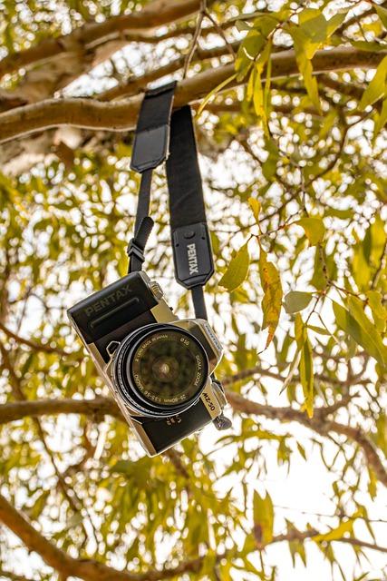 Best Hanging Straps Exercises for Building Grip Strength and Forearms