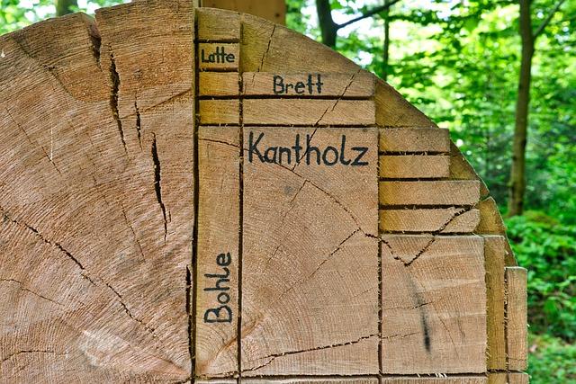 Recovery Process⁤ and ⁣Rehabilitation Exercises