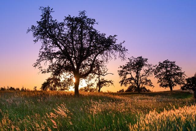 6. Pre-set Workout Programs for Added Convenience