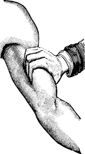 Importance of Grip Strength and Forearm Development in Overall Fitness